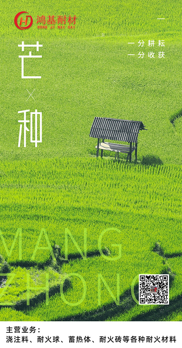 今日芒種！一份耕耘，一份收獲